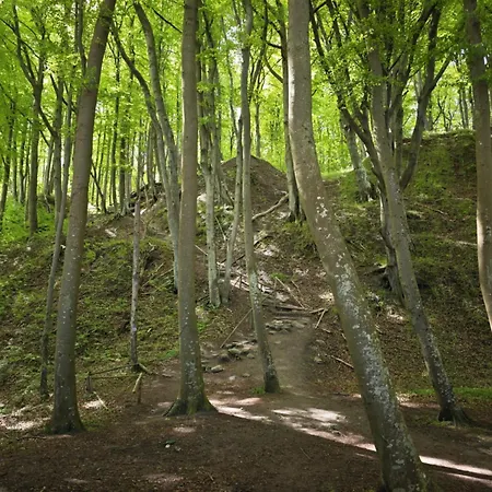 Niebieski Baltyk Апартаменты *