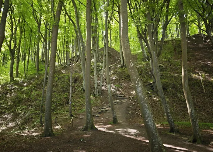 Niebieski Baltyk Διαμέρισμα *