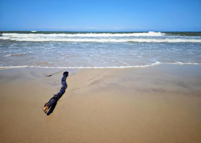Niebieski Baltyk Διαμέρισμα Jastrzębia Góra
